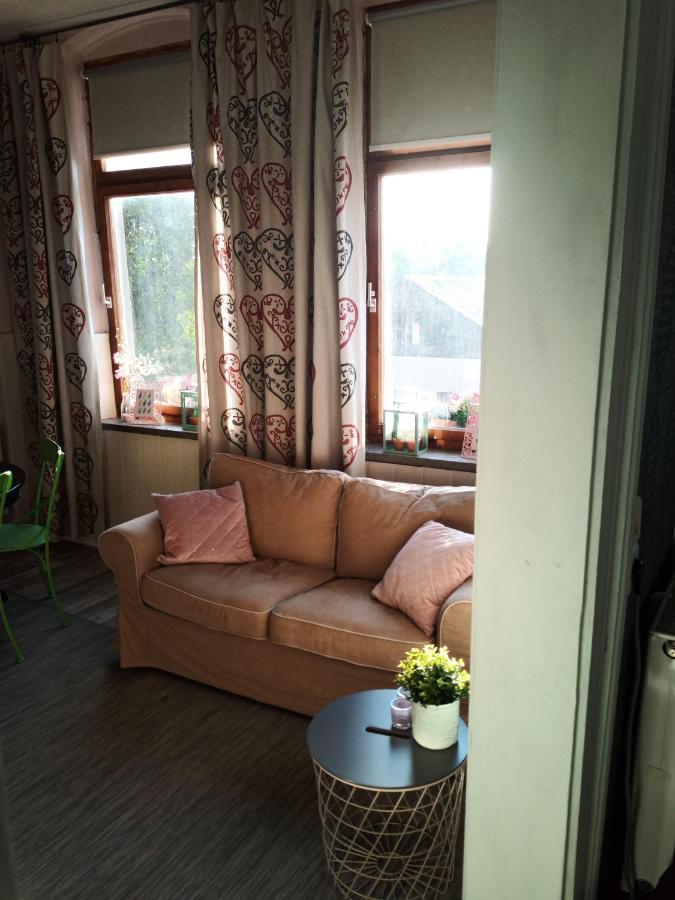 Bed and Breakfast Zur Friedrichsruh Oelsnitz  Zewnętrze zdjęcie