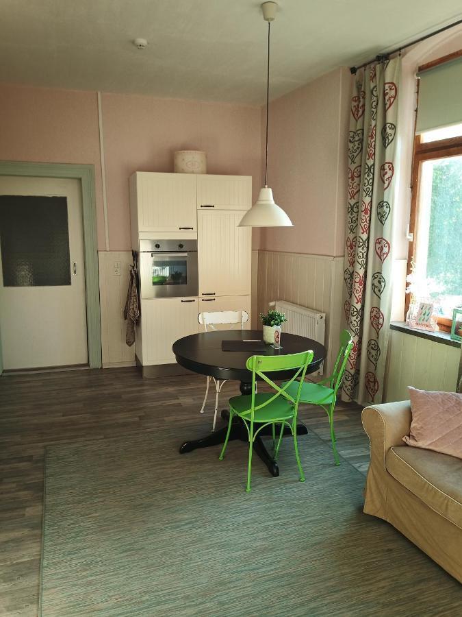 Bed and Breakfast Zur Friedrichsruh Oelsnitz  Zewnętrze zdjęcie